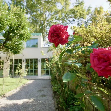 The Greenhouse Luxury On * Côme